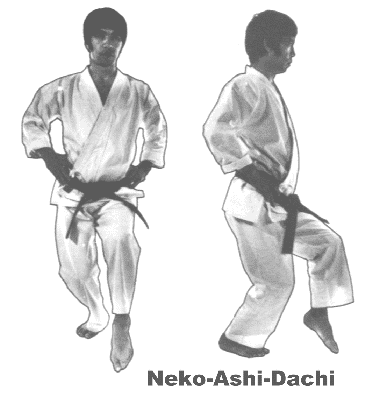 Nekoashi dachi
